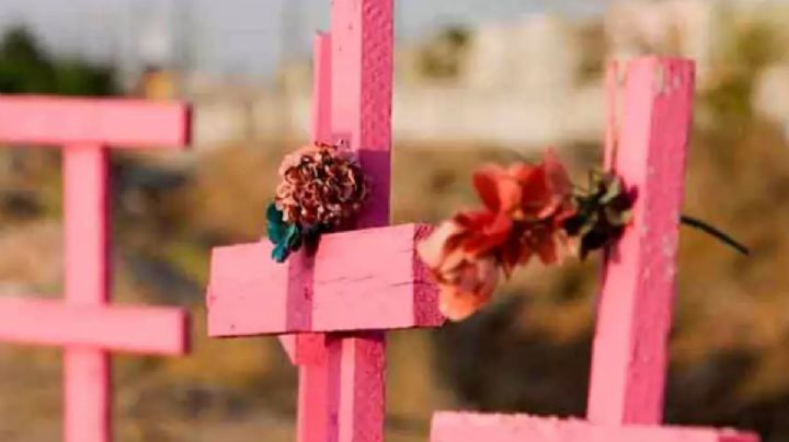 Era su novia; Héctor le quitó la vida en Guanajuato