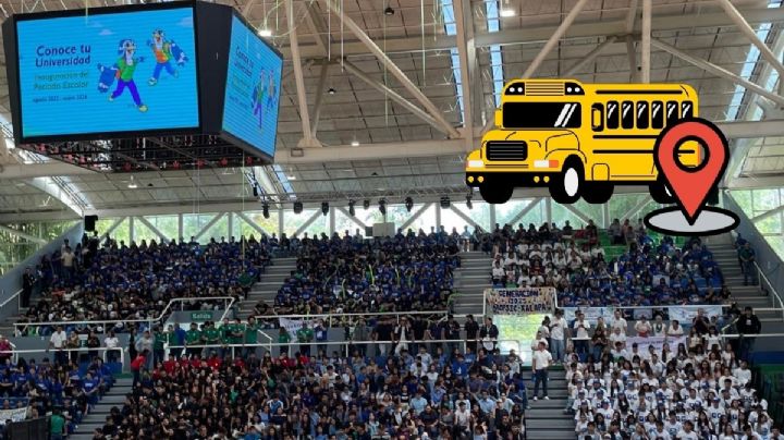 Estos son los horarios y rutas del autobús gratis en Banderilla para universitarios