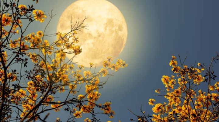 Así será la luna llena de septiembre ¿cuándo y cómo la podrás VER?