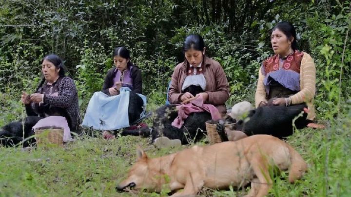 "Formas de atravesar un territorio": documental mexicano que retrata a mujeres tsotsiles | Exclusiva