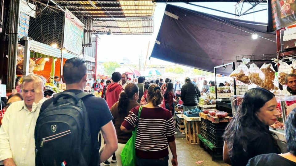 Prevén concluir el proyecto para el 2026