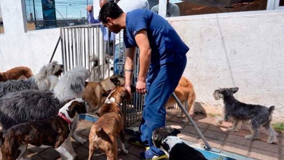 El legislador destacó que la adopción comunitaria fomenta los lazos entre vecinos