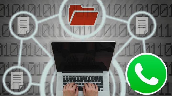 WhatsApp: cuáles son los archivos que más espacio consumen y cómo liberar memoria