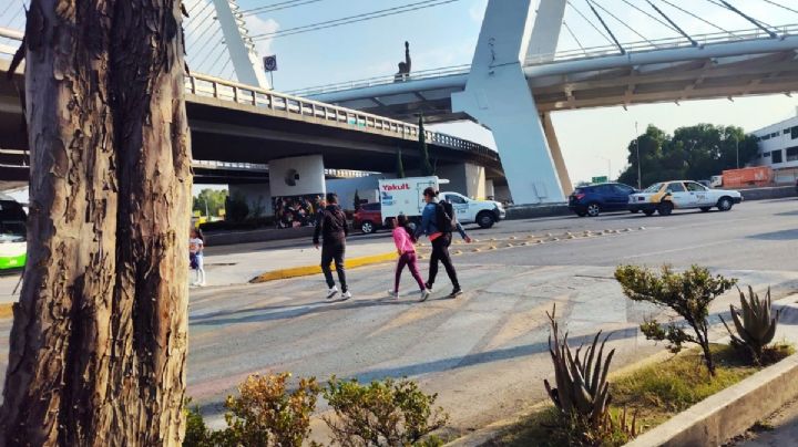 Revolución Urbana critica remodelación de glorieta: decisiones sin ciudadanos ni expertos