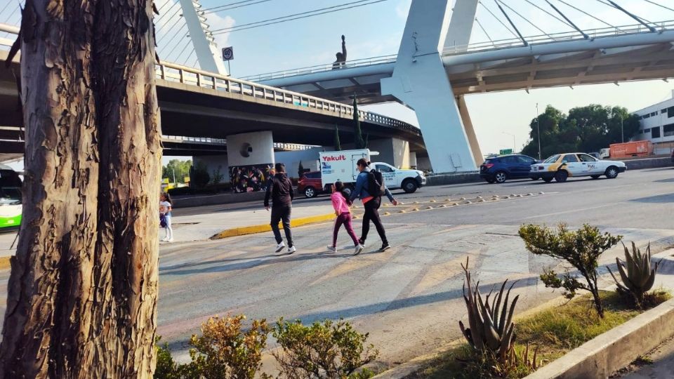 La asociación civil cuestionó la ubicación de los pasos peatonales