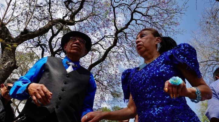 Concierto gratis por el Día del Abuelo 2025 en la CDMX: fecha, lugar, horario y artistas confirmados