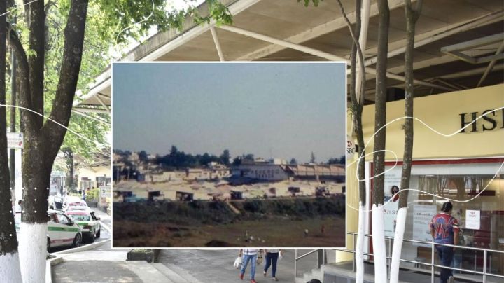 ¿Quién es el dueño de Plaza Museo, una de las más populares de Xalapa?