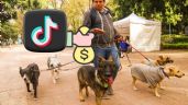 Foto ilustrativa de la nota titulada: Paseador de perros revela que gana 60,000 pesos al mes, ¿cómo le hace?
