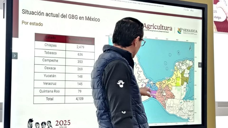 Las actividades prácticas y teóricas fueron diseñadas para fortalecer las capacidades municipales