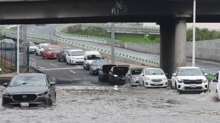 Los estragos de las lluvias en CDMX: 22 encharcamientos y 16 árboles caídos