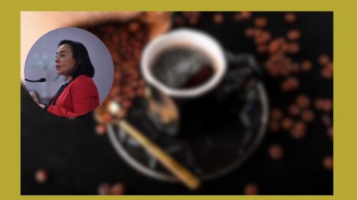 Llama diputada a cafeticultores a unir esfuerzos para obtener mejores resultados