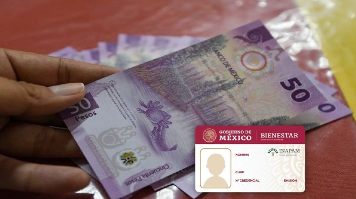 Ley 73: esta es la pensión del IMSS que puedes obtener con la tarjeta INAPAM