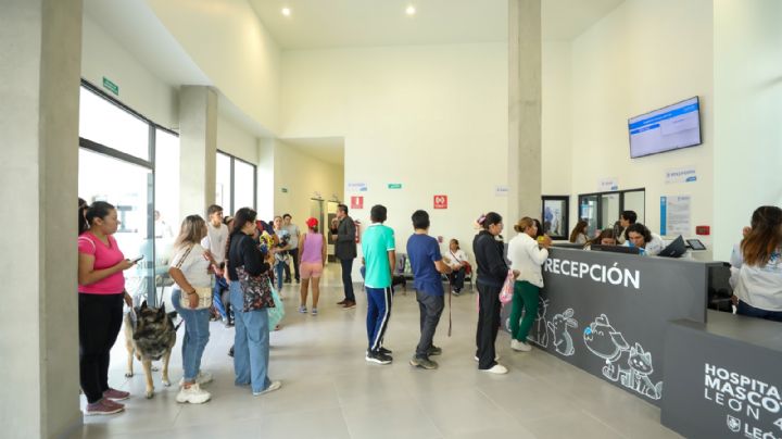 Perros y gatos saturan el hospital de mascotas de León