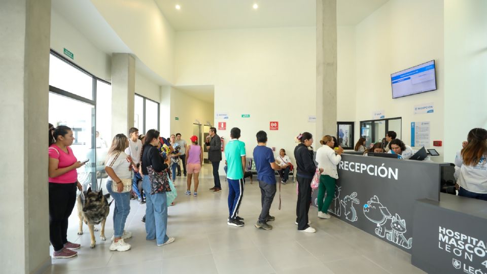 El servicio de urgencias del Hospital de Mascotas de León se mantiene activo 24/7.