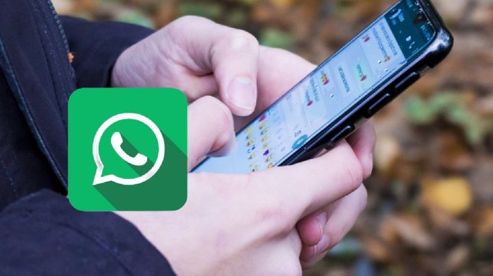 Así es el nuevo WhatsApp para evitar fraudes y estafas por mensajes