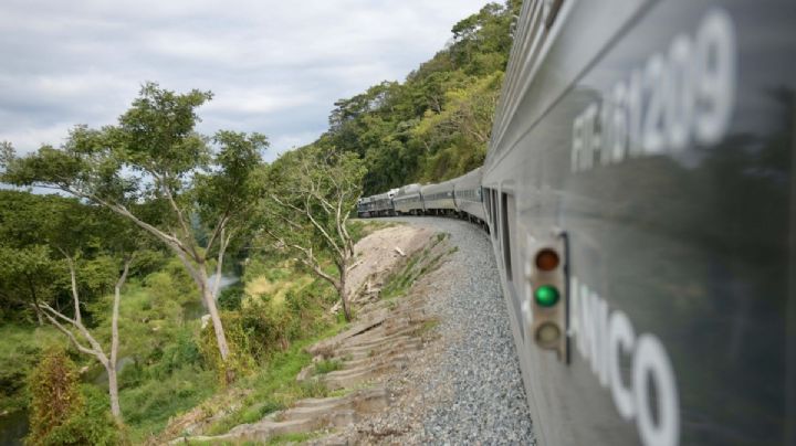 Tren Interoceánico suspende servicio de pasajeros por inundaciones en Oaxaca y Veracruz