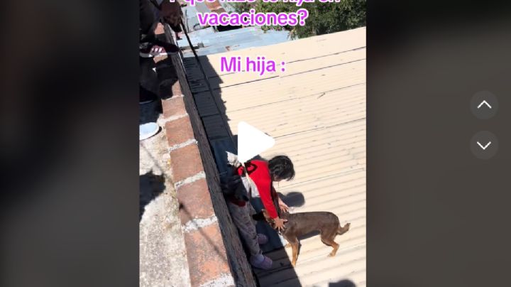 Se vuelve viral el rescate de un perrito; mamá enseña a su hija lección de empatía