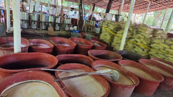 Incautan 2.5 toneladas de metanfetamina y desmantelan narcolaboratorio en Chiapas