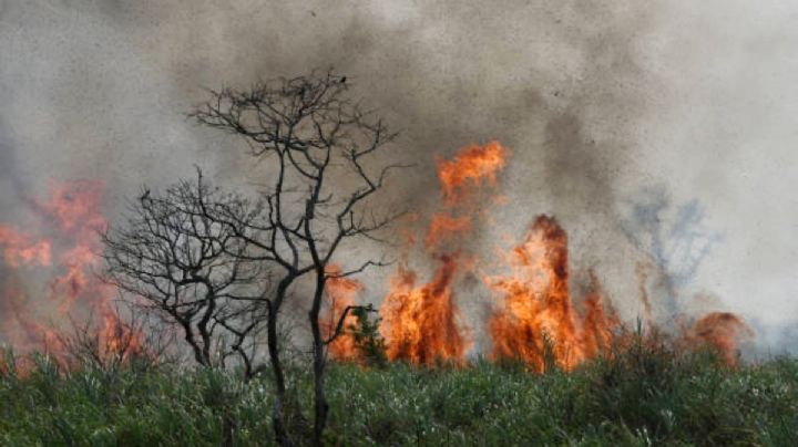 Lluvias tempranas en Hidalgo ayudaron a disminuir incendios forestales