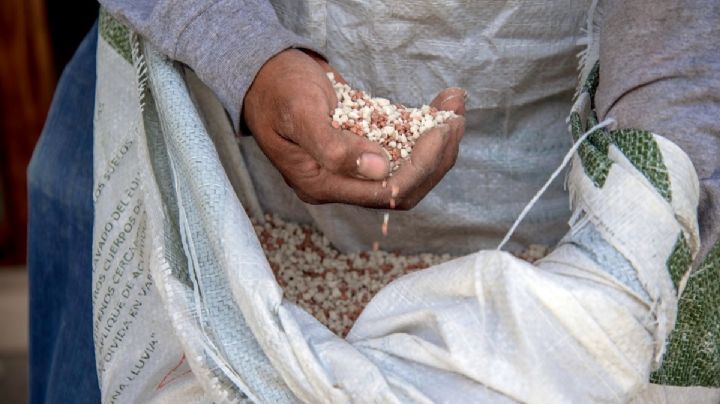 Sheinbaum resalta autosuficiencia alimentaria en primer informe de Gobierno