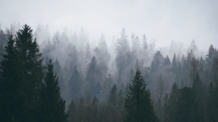 Rescatan a 20 turistas extraviados en Mineral del Chico