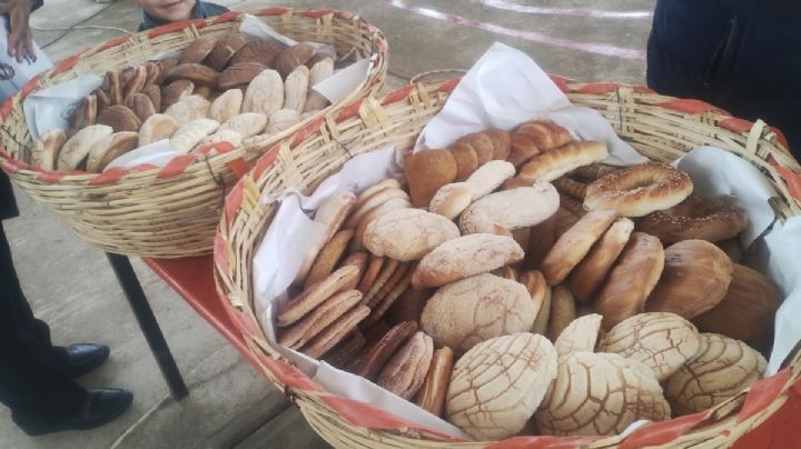 Revista bilingüe rescata la historia del pan tradicional de Acaxochitlán