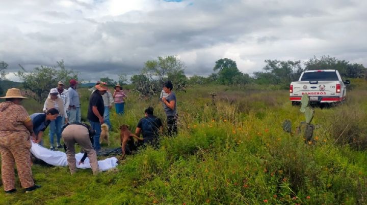 Entre los pastizales, localizan con vida a Vicente de 98 años de edad