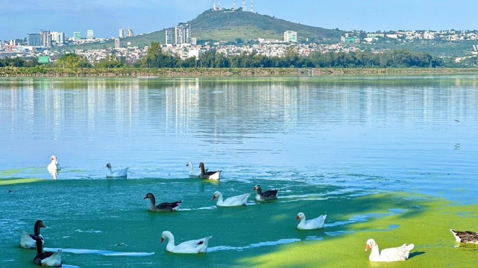 Así luce la Presa El Palote, en León.