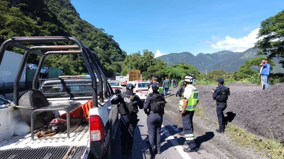 Atropellan y matan a David Rosas en autopista Orizaba - Puebla