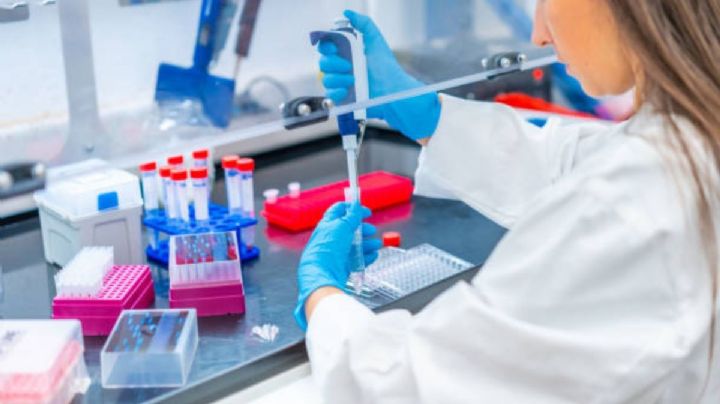 Laboratorios mexicanos buscan mayor presencia en el mercado de EU a través de alianzas estratégicas