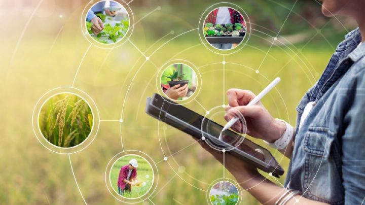 Así será el nuevo parque ecológico que pretendía ser una refinería en Hidalgo