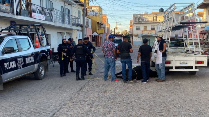 Tres toros escapan de un corral y dañan carros, sacrifican a dos