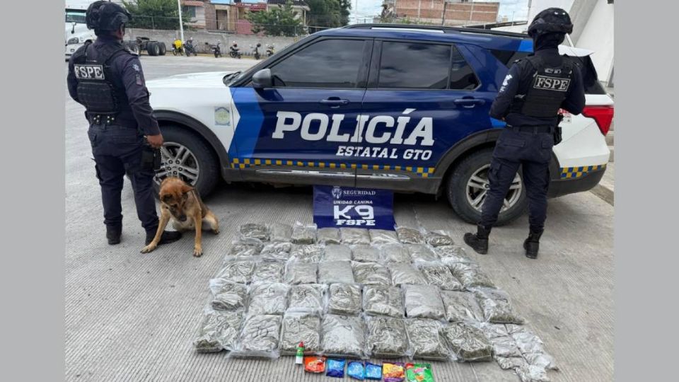La droga estaba oculta entre frituras y dulces y fue detectada por el oficial canino Evetke durante una inspección en una bodega de paquetería.