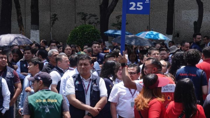Alerta sísmica: así será el simulacro del 19S estado por estado