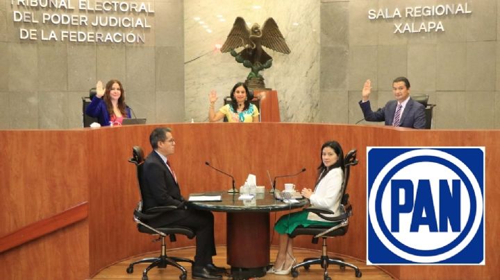 Sala Regional ratifica que dirigente del PAN en Veracruz incurrió en violencia política contra las mujeres