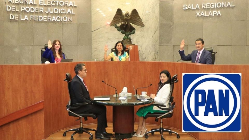 Sala Regional ratifica que dirigente del PAN en Veracruz incurrió en violencia política contra las mujeres