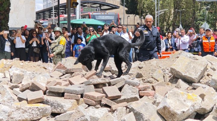 Así se vivió el segundo Simulacro Nacional en Ciudad de México | GALERÍA