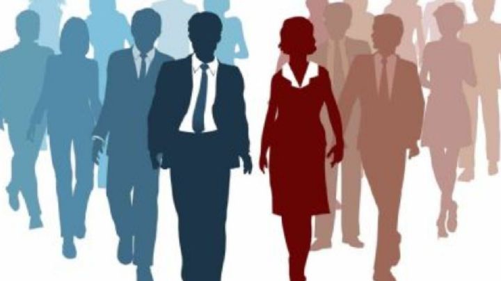 Paridad y alternancia en las elecciones judiciales