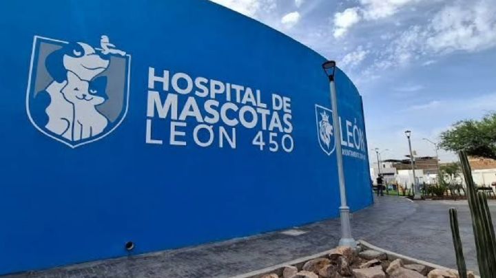 Hospital de Mascotas León 450: usuarios reportan malos tratos y negligencia