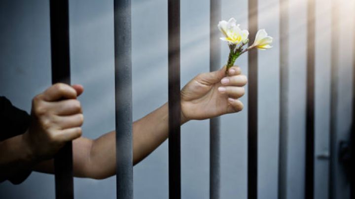 Amnistía en México: 411 presos obtuvieron una segunda oportunidad entre 2018 y 2025