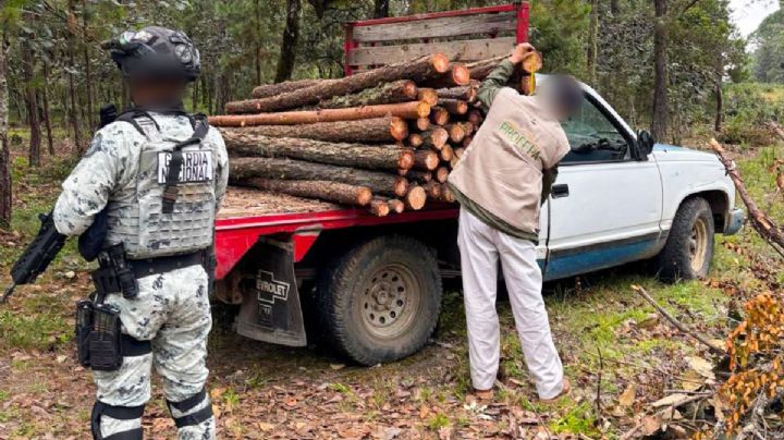 Tala ilegal: aseguran más de 2 mil metros cúbicos de madera en San Agustín Metzquititlán