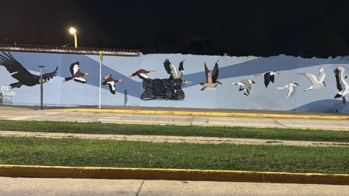 Ciudadanos de Coatzacoalcos buscan a joven que dañó mural del Colectivo Coatza
