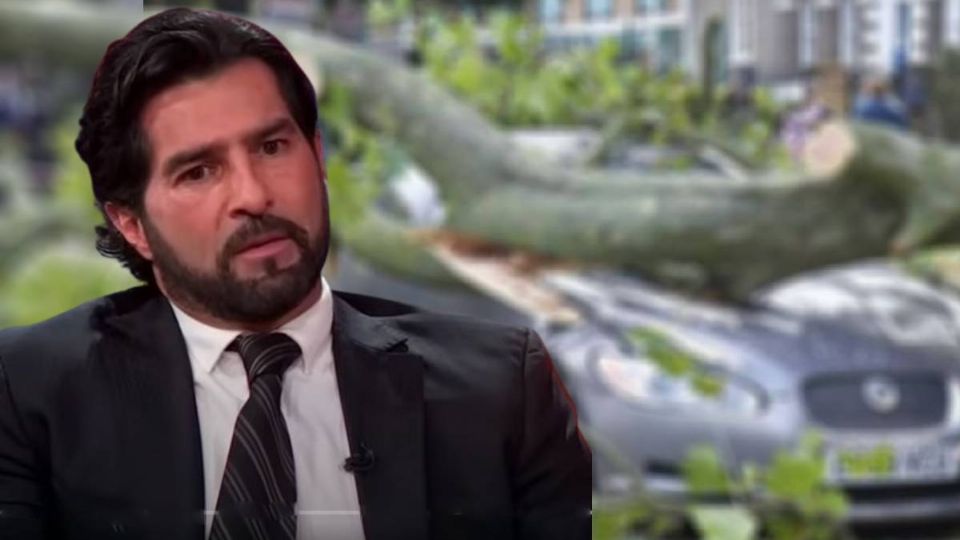 Un enorme árbol destrozó el automóvil del actor.