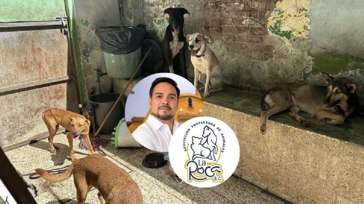 Albergue La Roca anuncia cierre definitivo tras intervención de alcalde de Medellín de Bravo