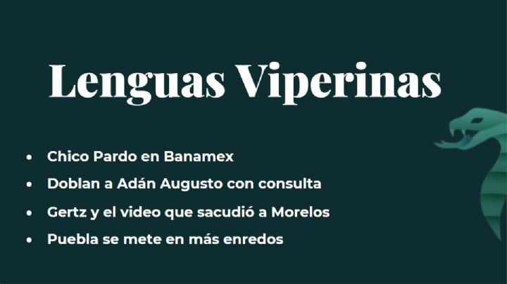 Lenguas Viperinas