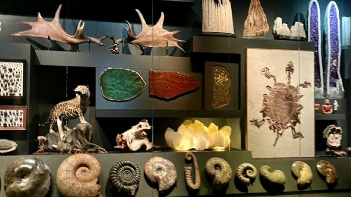 Mauricio Fernández Garza y sus extravagancias en fotos