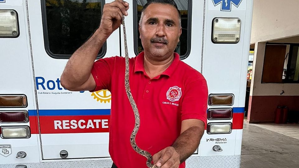 Dos personas en la huasteca fueron mordidas por la misma especie de serpiente
