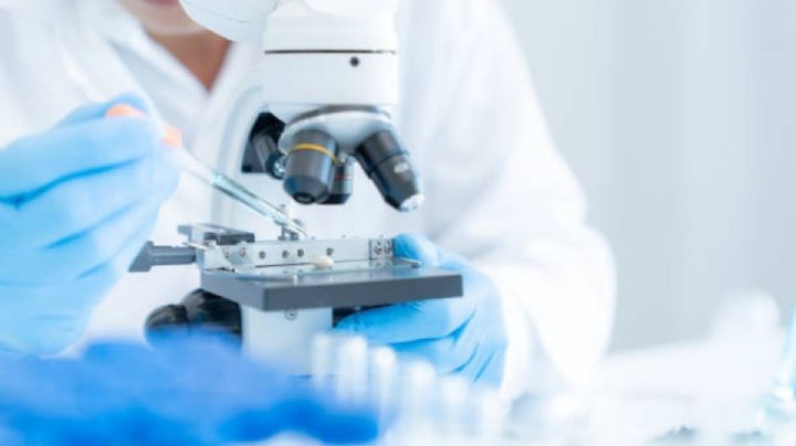 Cofepris y biosimilares, claves para el futuro del sector farmacéutico en México: INEFAM