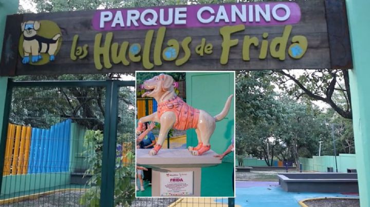 Este es el primer parque para perritos en Minatitlán; reconoce a Frida perrita rescatista