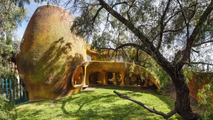 Arquitectura orgánica: En Celaya está la Casa del Árbol ¿La conoces?